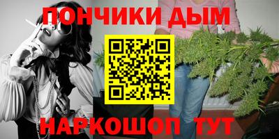 молекула духа Будённовск
