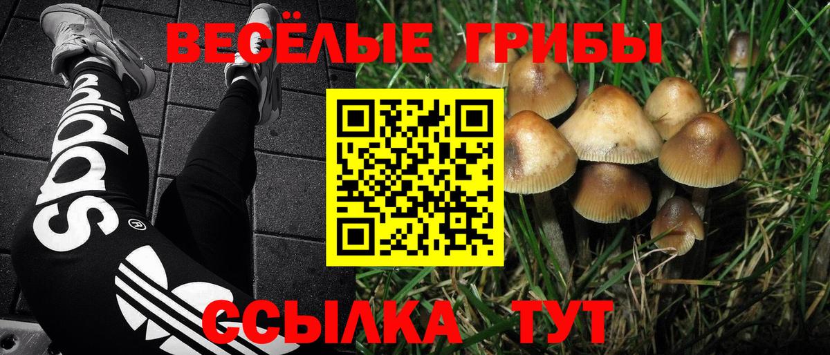 Галлюциногенные грибы GOLDEN TEACHER Красноармейск
